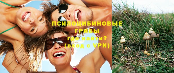 соль курить ск Алексин