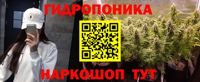 крисы Балаково
